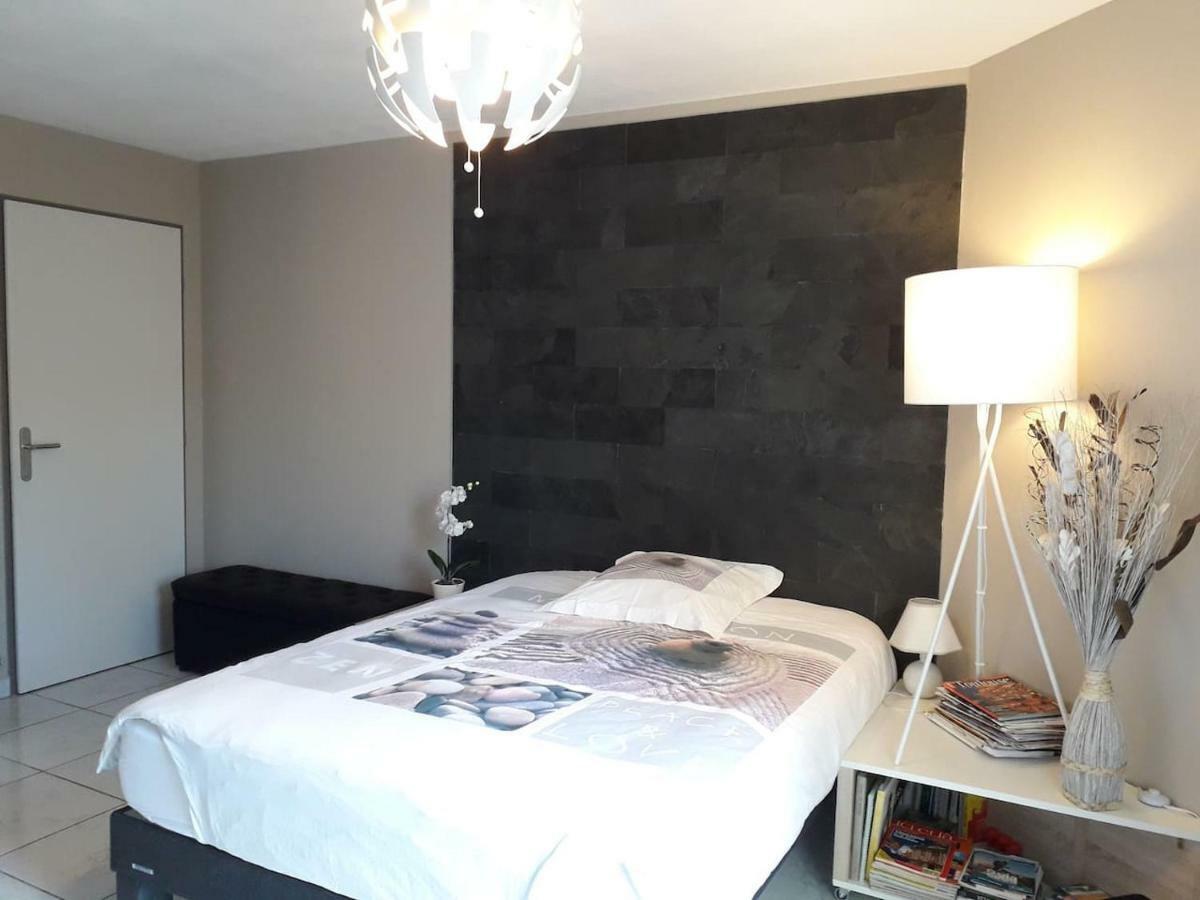 :) Grand Studio Lumineux A Toulouse Et Parking Eksteriør billede