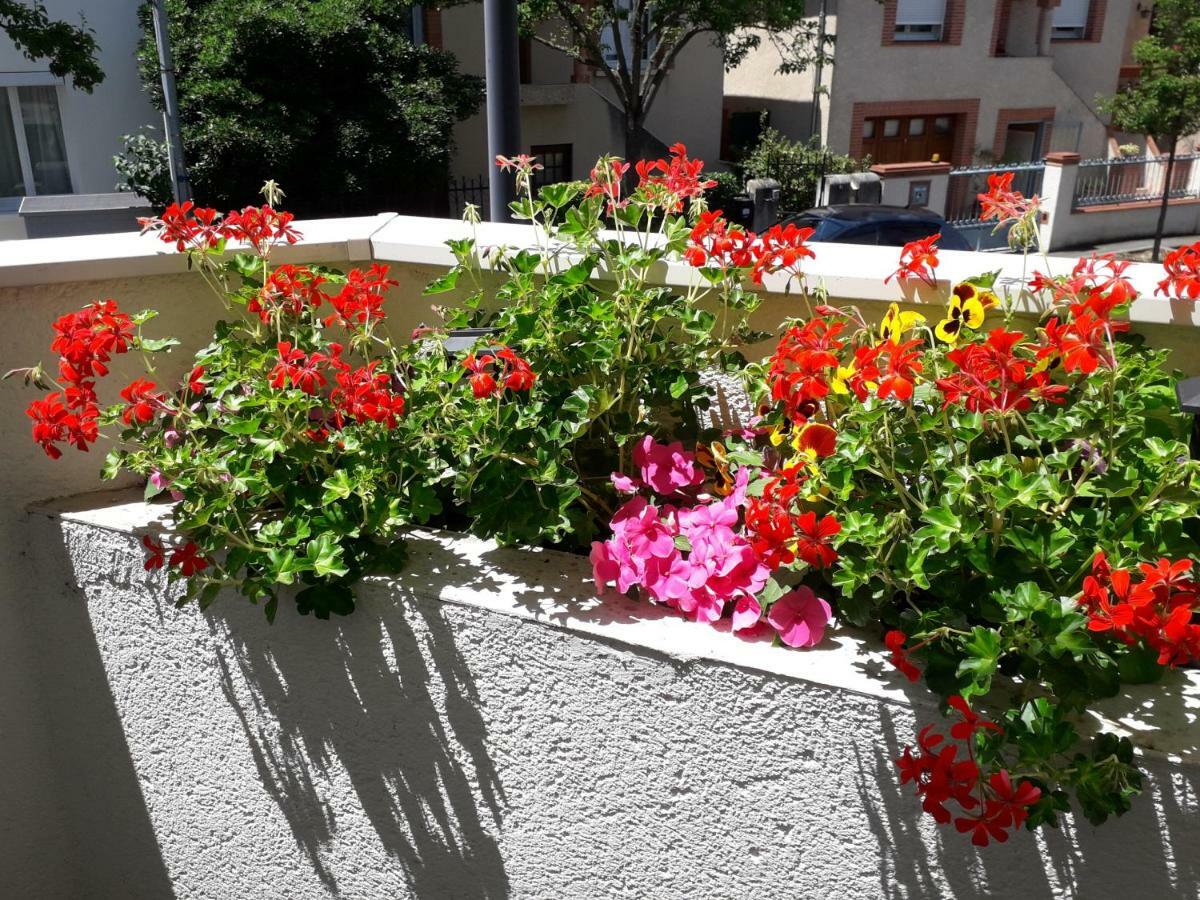 :) Grand Studio Lumineux A Toulouse Et Parking Eksteriør billede